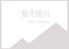 平顶山碧彤能源有限公司